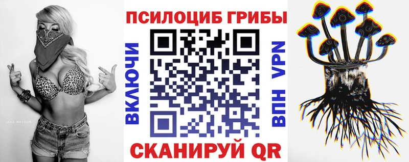 Галлюциногенные грибы Psilocybine cubensis  Северодвинск 
